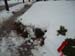 DSCF0638