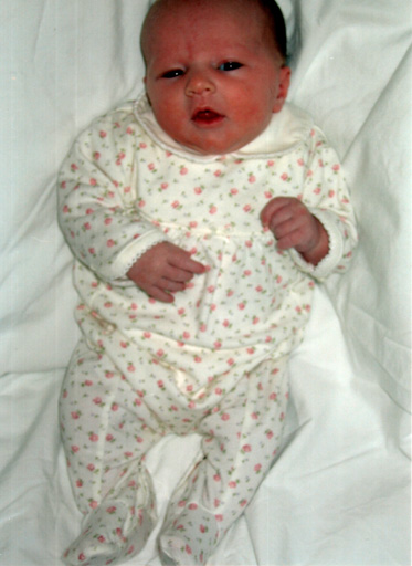 phoebe
