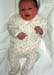 phoebe