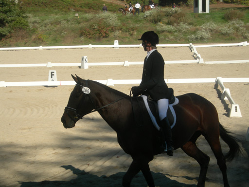 DSCN1941