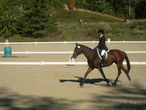 DSCN1948