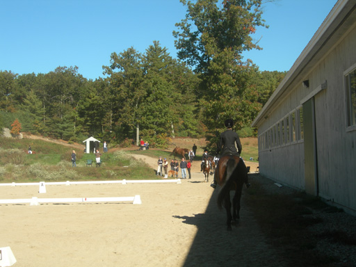DSCN1951