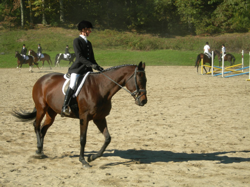 DSCN1954