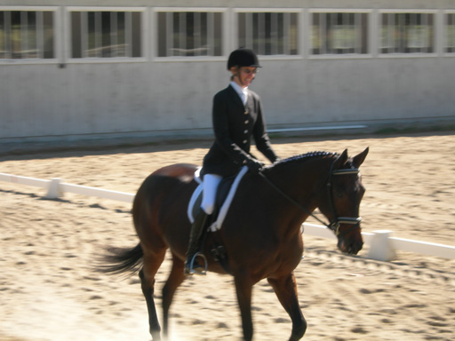 DSCN1958