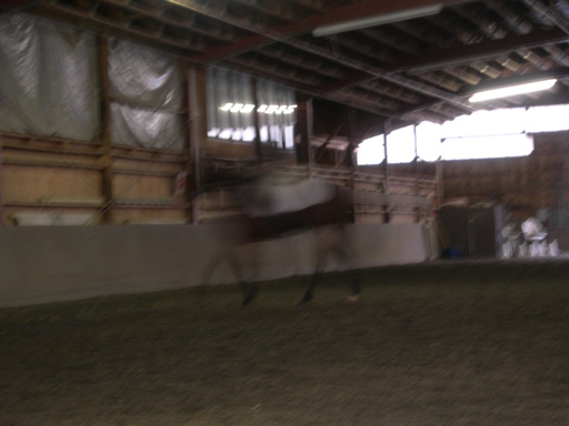 DSCN2161