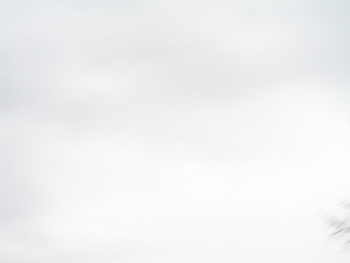 DSCN2190