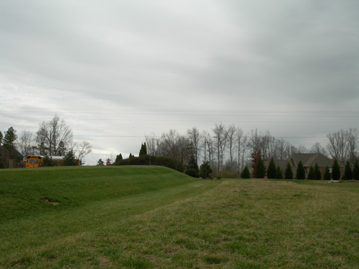 DSCN2198