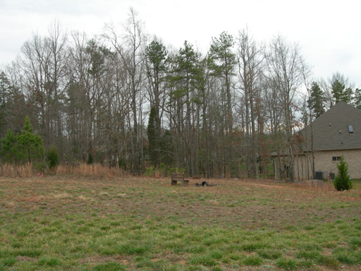 DSCN2207