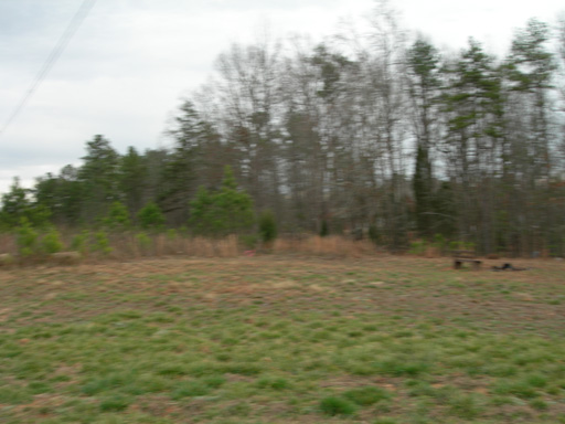 DSCN2208