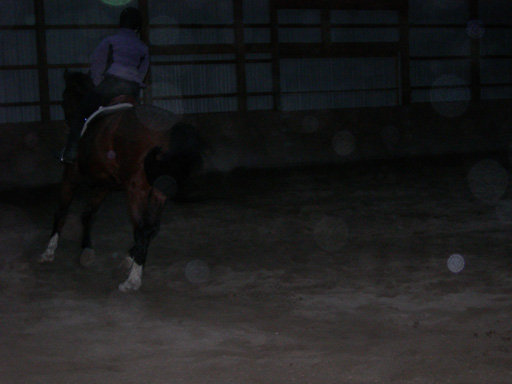 DSCN2361