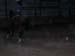 DSCN2361