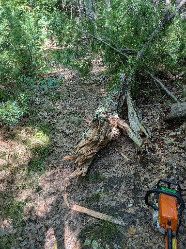 PXL_20240719_133944949