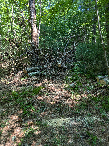 PXL_20240719_142033217