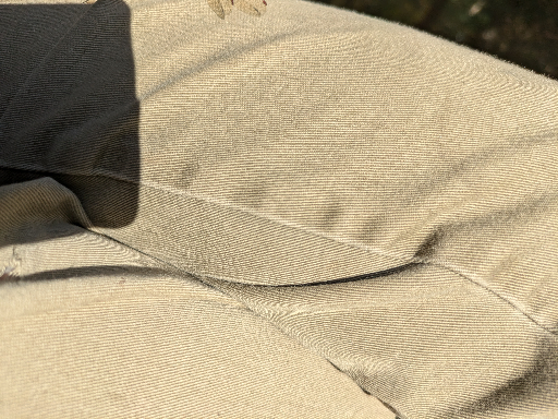 PXL_20241107_155618528
