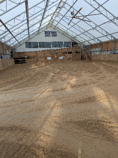 PXL_20241126_130419717