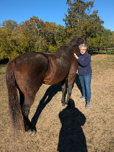 PXL_20251016_140456783