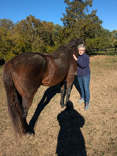 PXL_20251016_140457512