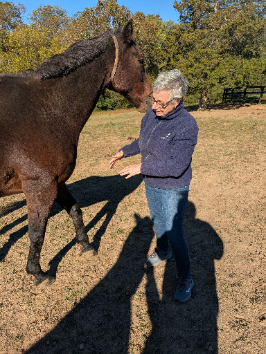 PXL_20251016_140601885