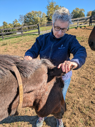 PXL_20251016_141433932