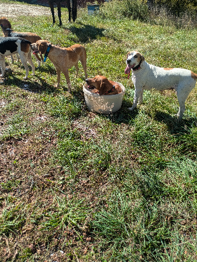 PXL_20251018_161246804