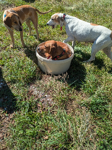 PXL_20251018_161250715