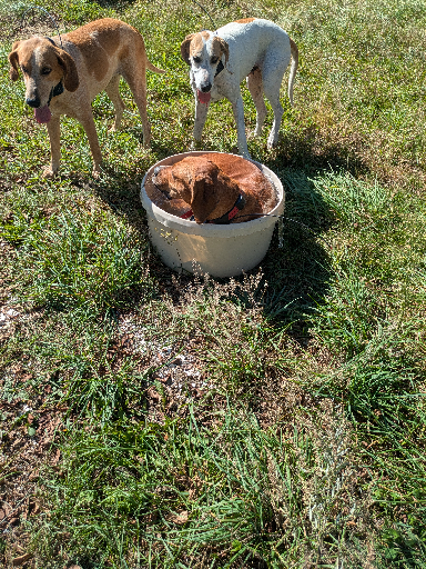 PXL_20251018_161252935