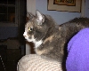 LUCY52