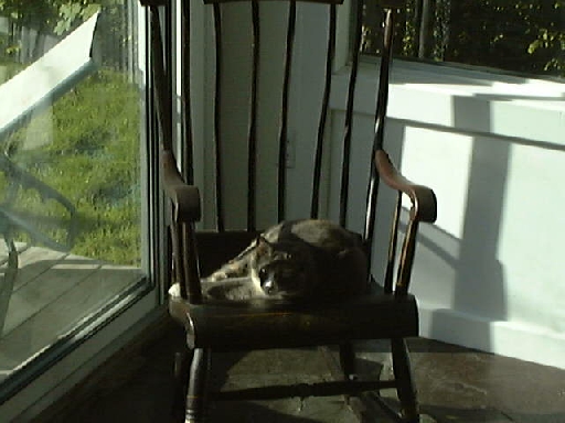 Lucy1