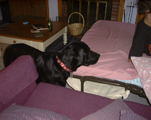 DSC00328