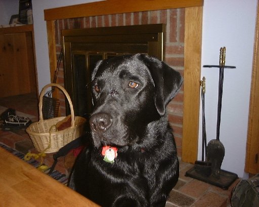 DSC00330