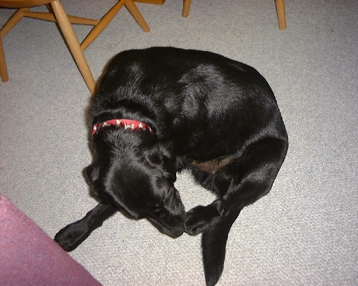 DSC00366