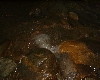 DSC00349
