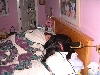 DSCF1024