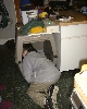 Dsc00521