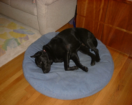 DSC00590