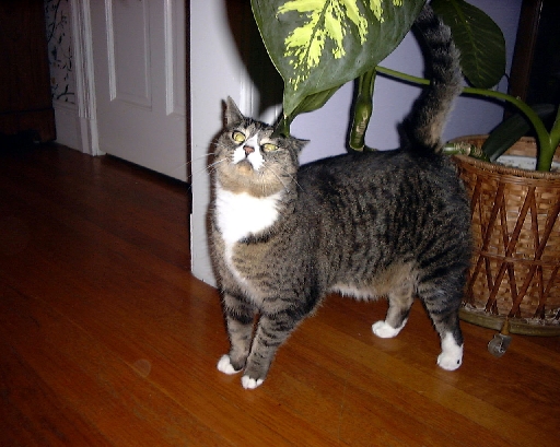 DSC00872
