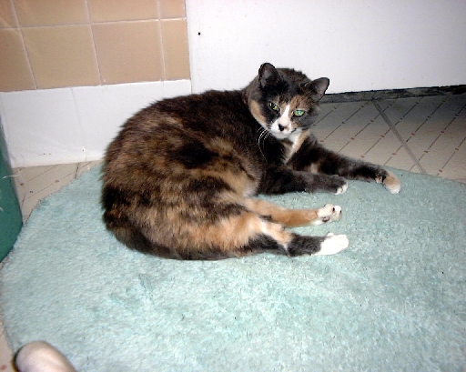 DSC00874
