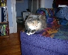 DSC00871
