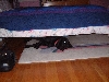 DSCF0001
