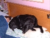 DSCF0004