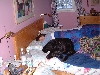 DSCF0039
