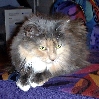 charlottecropped