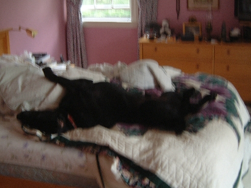 DSCF1135