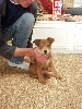 ruby2