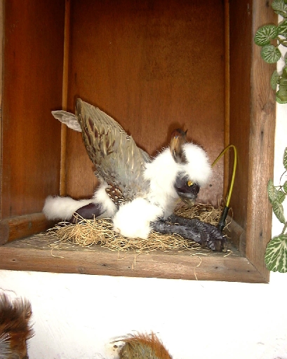 DSC00742