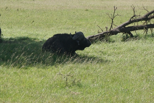 IMG_1111