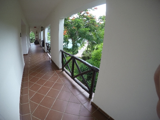 GOPR0551