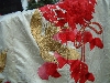 dscf0841