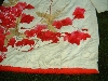 dscf0848