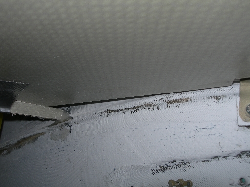 DSCN1284